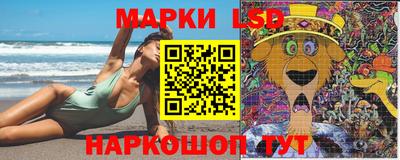 хмурый Кингисепп
