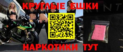 хмурый Кингисепп